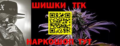 индика Лесосибирск