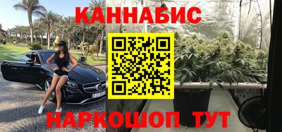 индика Лесосибирск